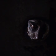 Critical acclaim moment